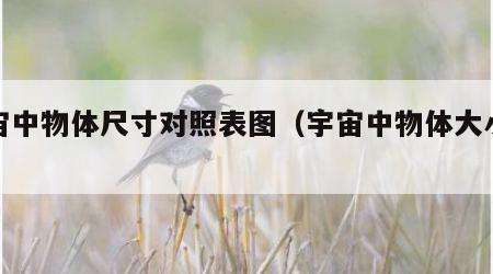 宇宙中物体尺寸对照表图（宇宙中物体大小排序）
