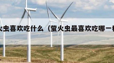 萤火虫喜欢吃什么（萤火虫最喜欢吃哪一种昆虫）