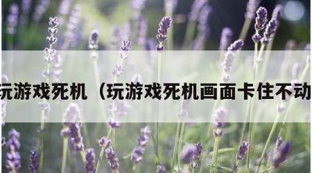 玩游戏死机（玩游戏死机画面卡住不动）