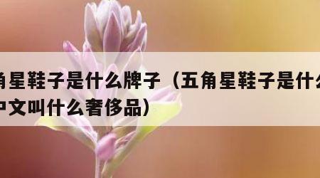 五角星鞋子是什么牌子（五角星鞋子是什么牌子中文叫什么奢侈品）
