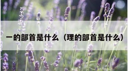 一的部首是什么（理的部首是什么）