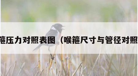 喉箍压力对照表图（喉箍尺寸与管径对照表）