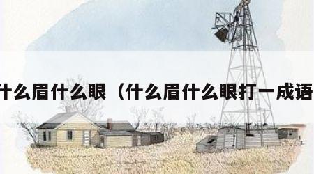 什么眉什么眼（什么眉什么眼打一成语）