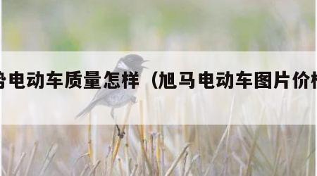 旭势电动车质量怎样（旭马电动车图片价格表）