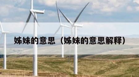 姊妹的意思（姊妹的意思解释）