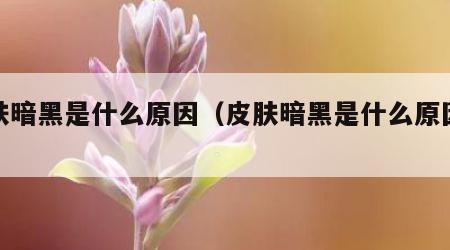 皮肤暗黑是什么原因（皮肤暗黑是什么原因女性）