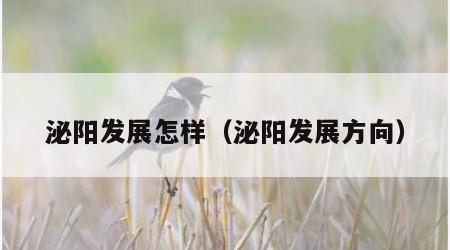 泌阳发展怎样（泌阳发展方向）