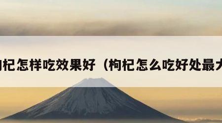 枸杞怎样吃效果好（枸杞怎么吃好处最大）