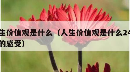 人生价值观是什么（人生价值观是什么24个字的感受）