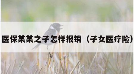 医保某某之子怎样报销（子女医疗险）