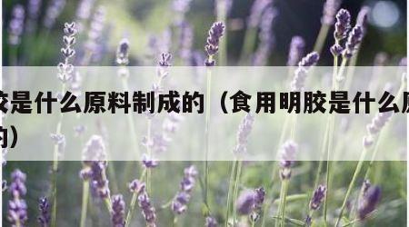 明胶是什么原料制成的（食用明胶是什么原料做的）