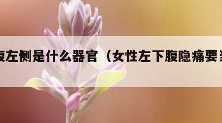 小腹左侧是什么器官（女性左下腹隐痛要当心了）