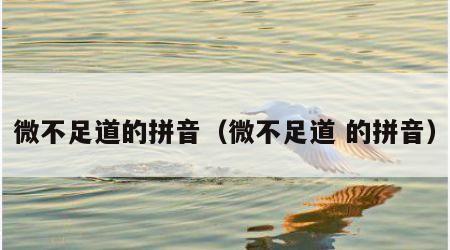 微不足道的拼音（微不足道 的拼音）