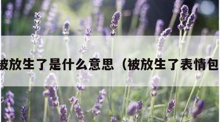 被放生了是什么意思（被放生了表情包）