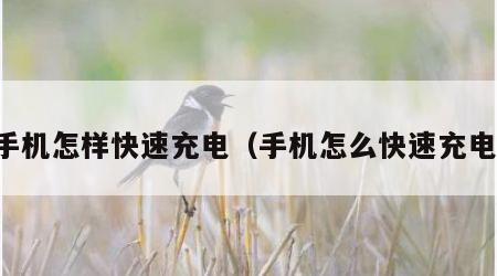 手机怎样快速充电（手机怎么快速充电）