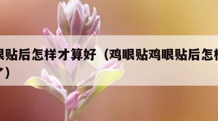 鸡眼贴后怎样才算好（鸡眼贴鸡眼贴后怎样是好了）