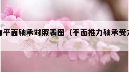 推力平面轴承对照表图（平面推力轴承受力分析）
