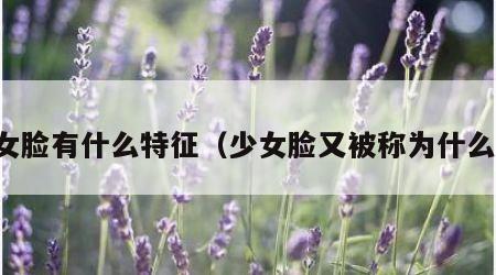 少女脸有什么特征（少女脸又被称为什么脸）