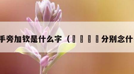 提手旁加钦是什么字（屲冚仚屳分别念什么）