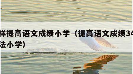 怎样提高语文成绩小学（提高语文成绩34个方法小学）