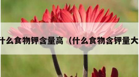 什么食物钾含量高（什么食物含钾量大）