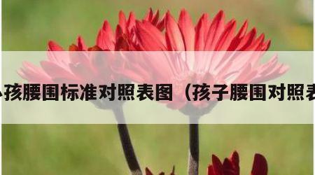 小孩腰围标准对照表图（孩子腰围对照表）