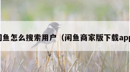 闲鱼怎么搜索用户（闲鱼商家版下载app）