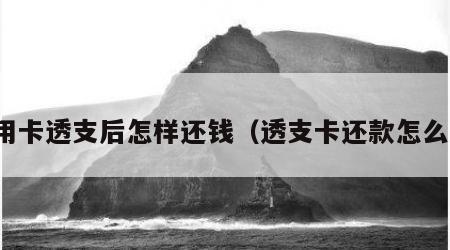 信用卡透支后怎样还钱（透支卡还款怎么还）