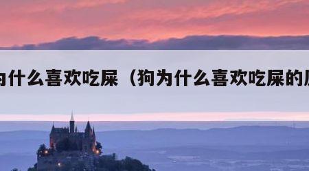狗为什么喜欢吃屎（狗为什么喜欢吃屎的原因）