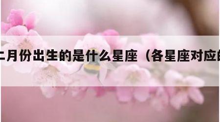 十二月份出生的是什么星座（各星座对应的月份）