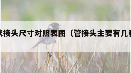 管状接头尺寸对照表图（管接头主要有几种标准）