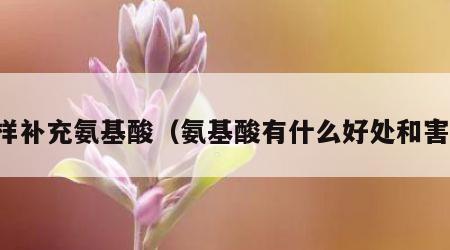 怎样补充氨基酸（氨基酸有什么好处和害处）