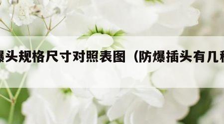 防爆头规格尺寸对照表图（防爆插头有几种规格）