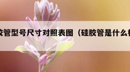 硅胶管型号尺寸对照表图（硅胶管是什么样子的）