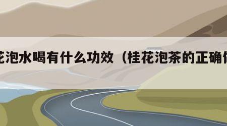 桂花泡水喝有什么功效（桂花泡茶的正确做法）