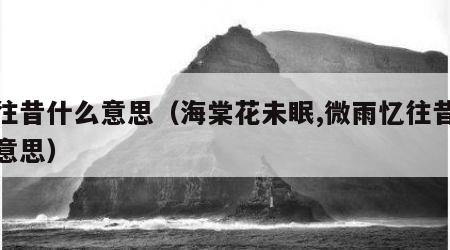 忆往昔什么意思（海棠花未眠,微雨忆往昔什么意思）