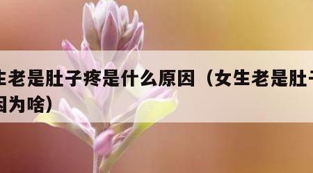 女生老是肚子疼是什么原因（女生老是肚子疼是因为啥）