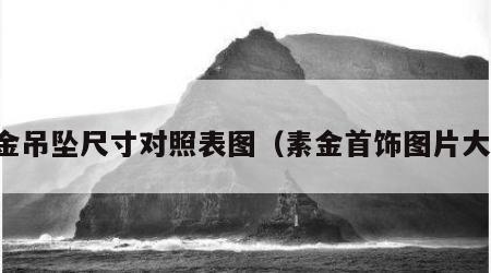 素金吊坠尺寸对照表图（素金首饰图片大全）