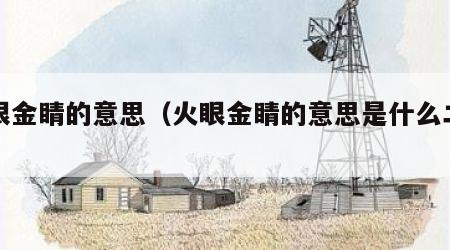 火眼金睛的意思（火眼金睛的意思是什么二年级）