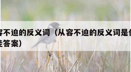从容不迫的反义词（从容不迫的反义词是什么最佳答案）