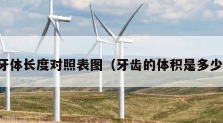 牙体长度对照表图（牙齿的体积是多少）