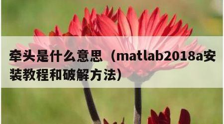 牵头是什么意思（matlab2018a安装教程和破解方法）