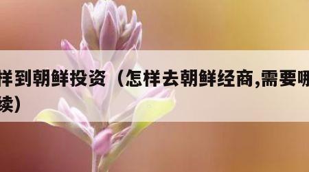 怎样到朝鲜投资（怎样去朝鲜经商,需要哪些手续）