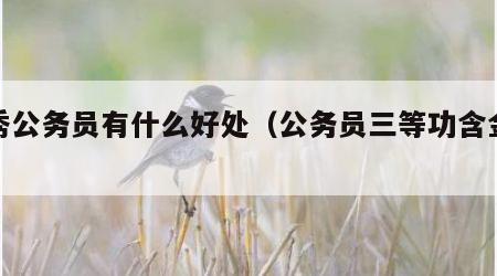 优秀公务员有什么好处（公务员三等功含金量）