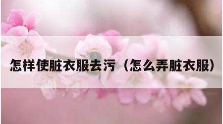 怎样使脏衣服去污（怎么弄脏衣服）