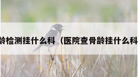 骨龄检测挂什么科（医院查骨龄挂什么科室）