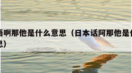 日语啊那他是什么意思（日本话阿那他是什么意思）