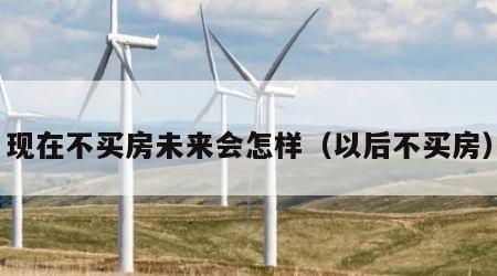 现在不买房未来会怎样（以后不买房）