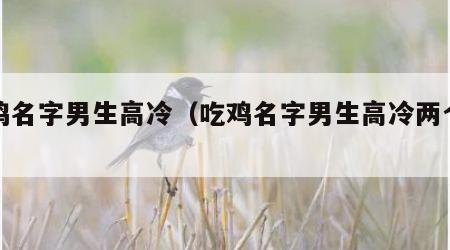 吃鸡名字男生高冷（吃鸡名字男生高冷两个字）