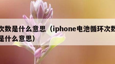 次数是什么意思（iphone电池循环次数是什么意思）